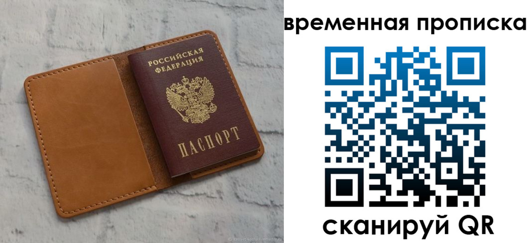 прописка поиск в Курской области